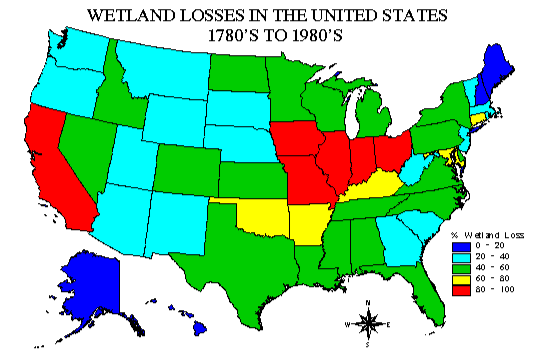 Wetland Losses in the United States 1780's to 1980's